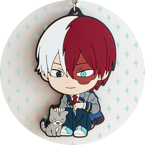 my hero academia bnha todoroki shouto cat