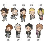 Haikyuu Ichiban Kuji New Year Rubber Straps (Second Years)