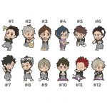 Haikyuu Ichiban Kuji New Year Rubber Straps (Third Years)