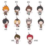 Haikyuu Karasuno VS Shiratorizawa Nitotan Rubber Straps